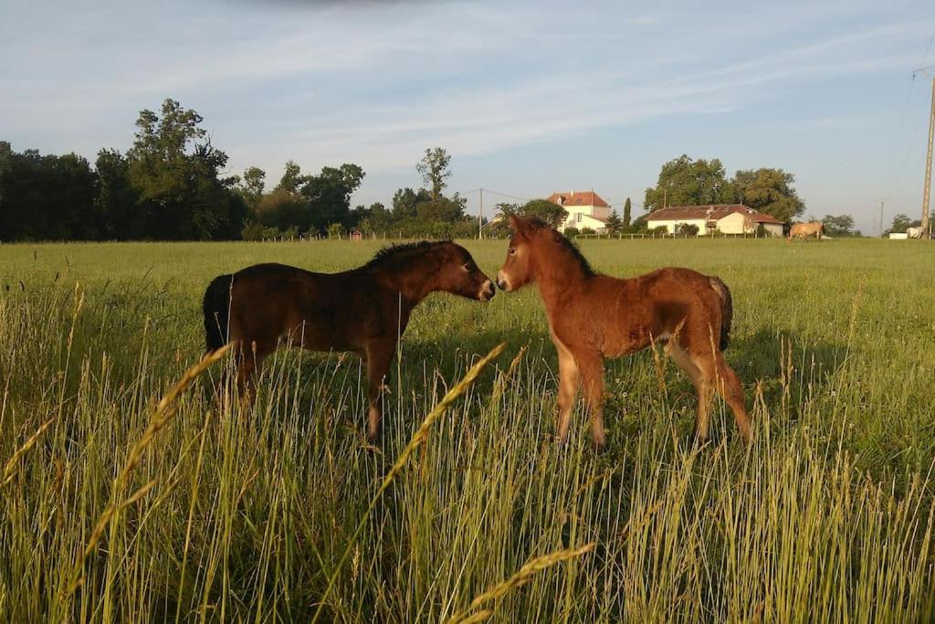 La Ferme des Augustines - Housity