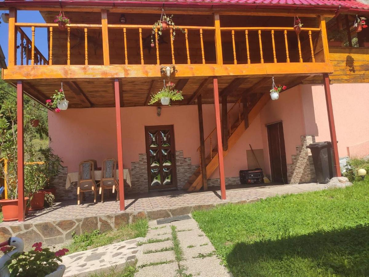 Pensiunea Trei brazi Sc?ri?oara - Housity