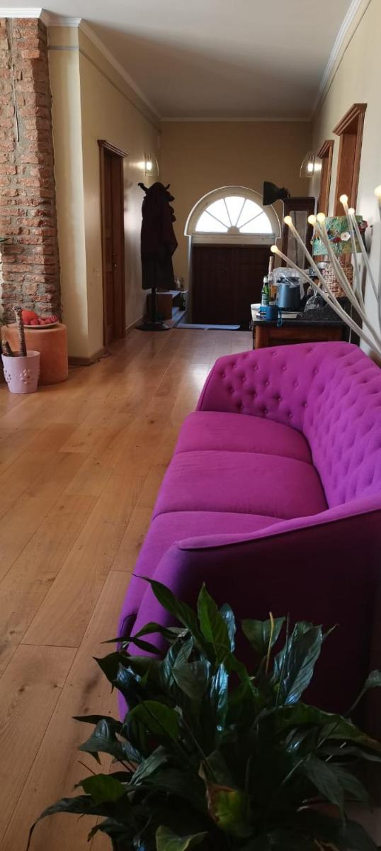 Villa Cincu - Housity