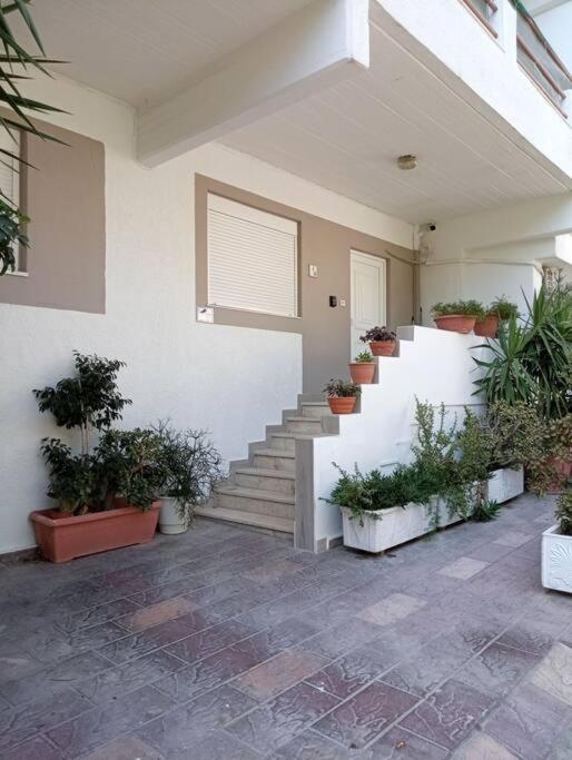 Downtown Apartment With Private Parking - Housity