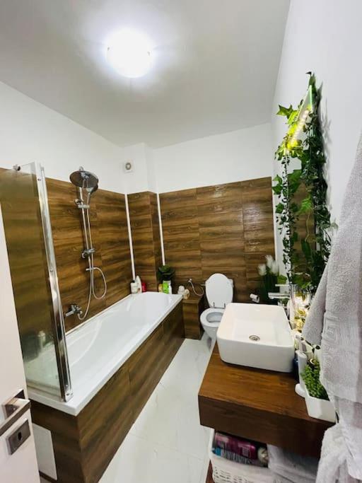 Apartament Modern Ioana - Housity