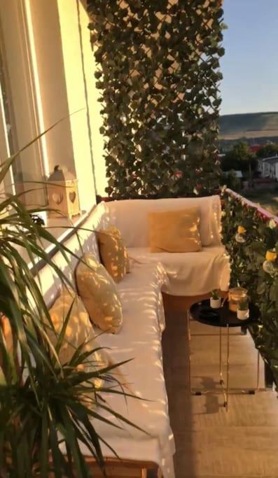 Apartament Modern Ioana - Housity