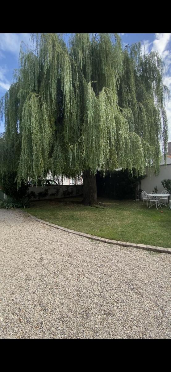 Suitetrails - Gite des Colverts