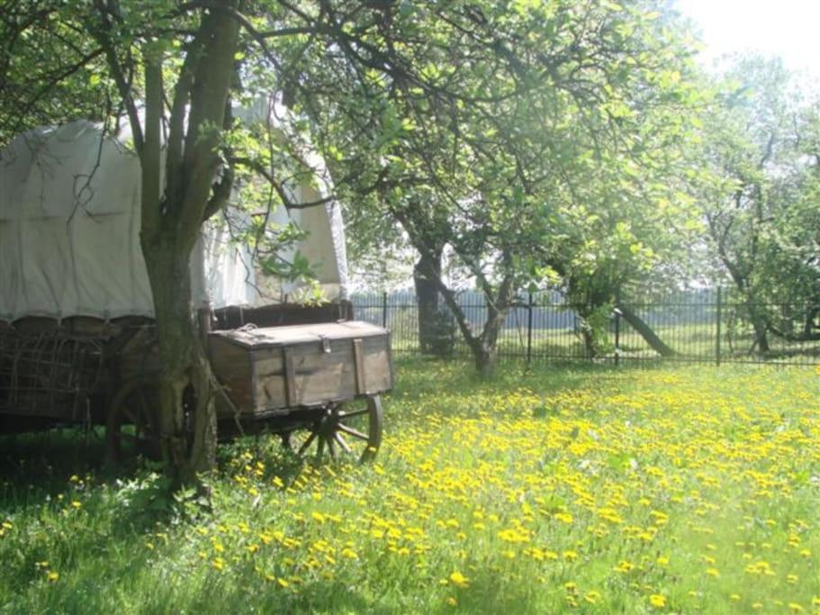 Agroturystyka Rancho Lavender - Dom gościnny - Housity