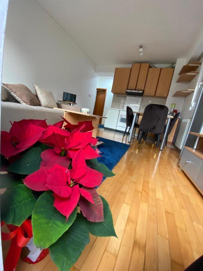 Tea Apartment - Housity