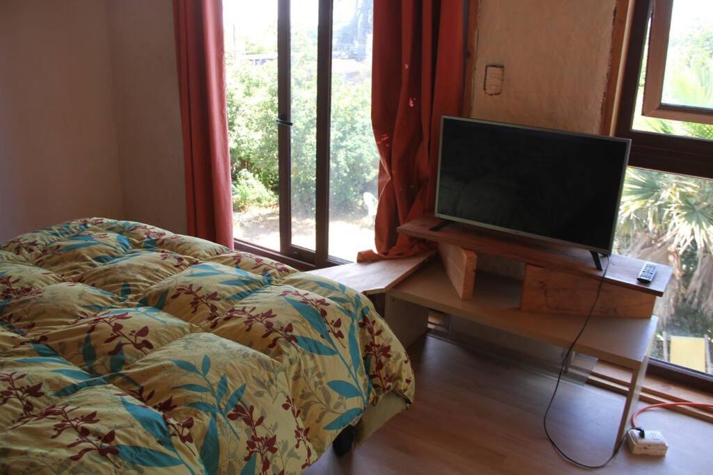 Eco loft - Housity