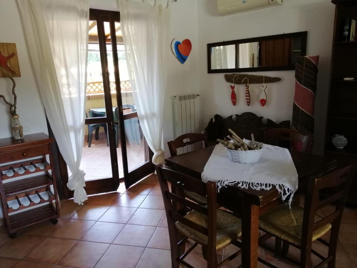 Sunny Treasure - cozy & quiet , close to Roma, Bambin Gesù, Passoscuro, Fregene e Maccarese - Housity