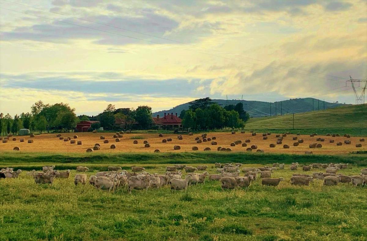 Glenwood Homestead - Farm Stay Accommodation - Housity