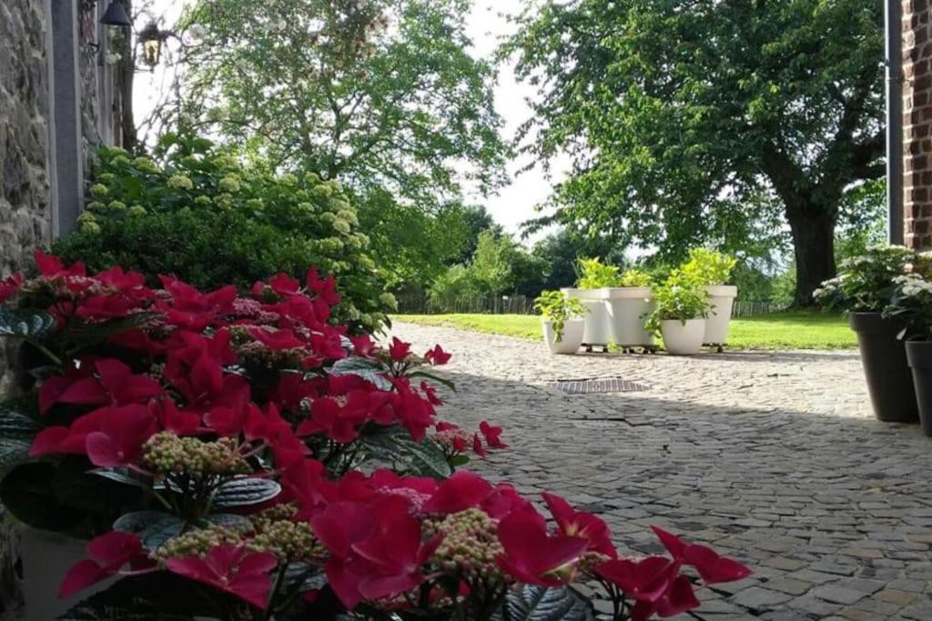 Country house Clos des hortensias - Housity