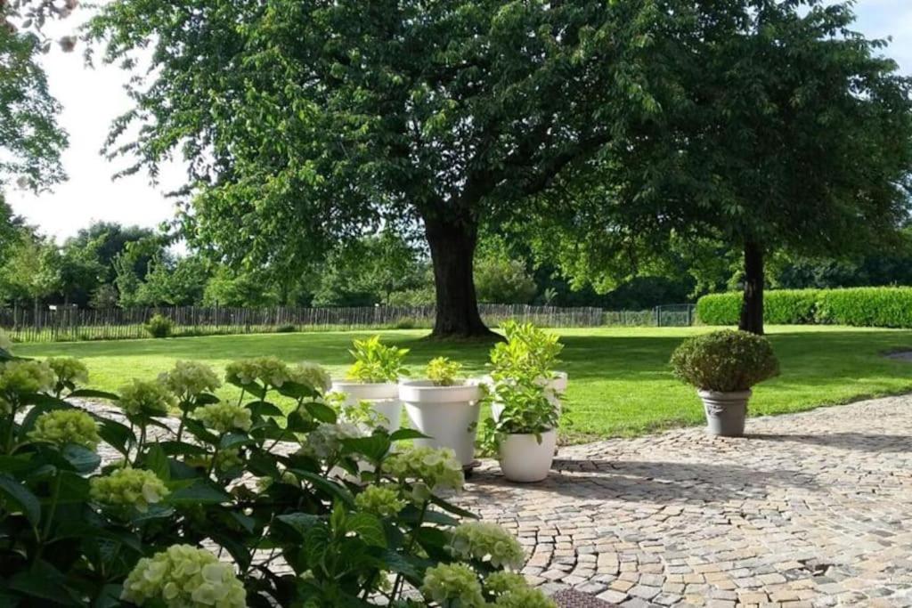 Country house Clos des hortensias - Housity
