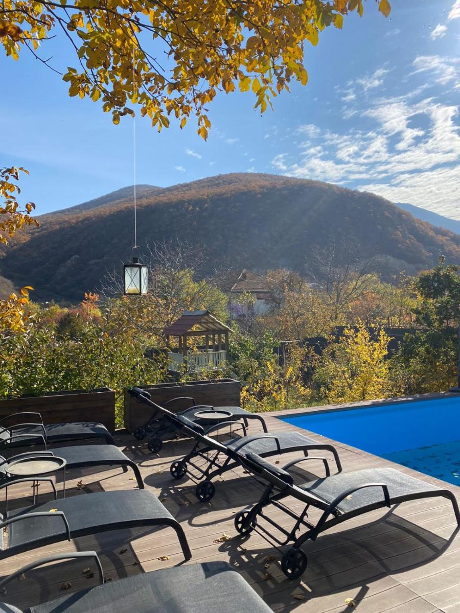 ECO Villa Nichbisi 3BR with pool near Mtskheta - Housity