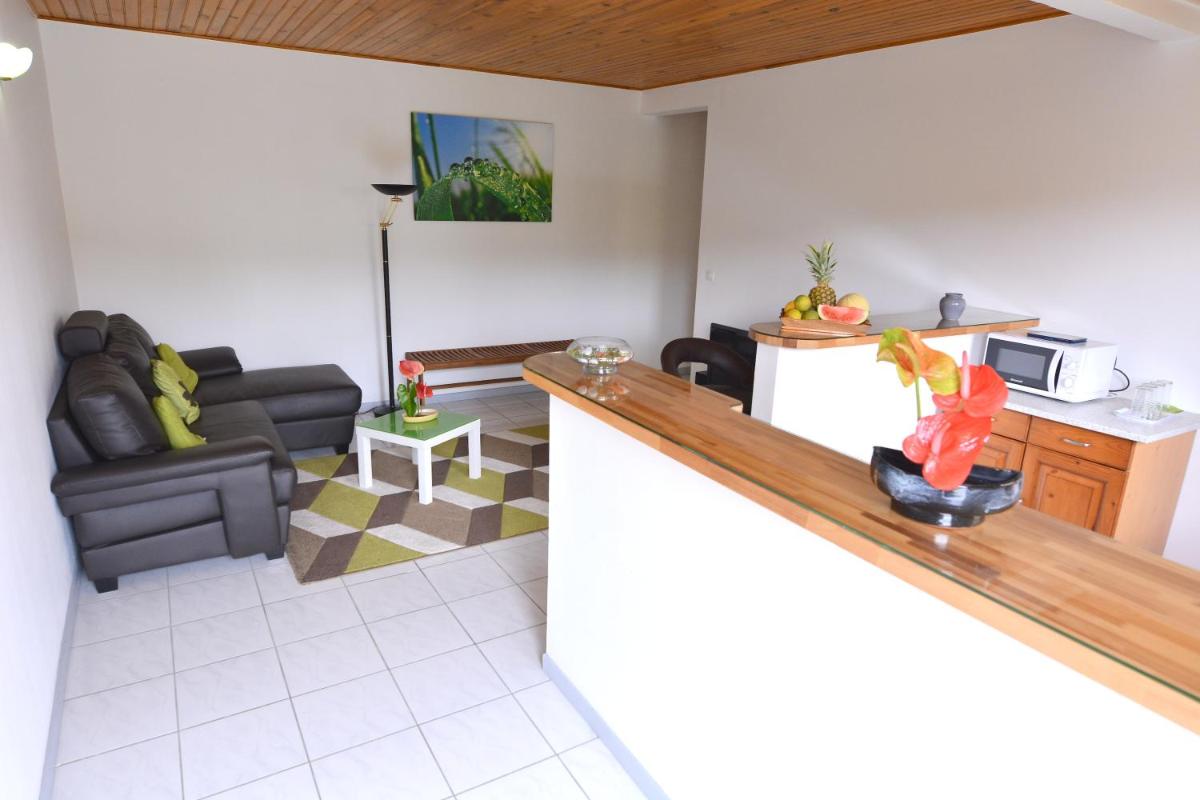 Appartement d'une chambre avec jardin clos et wifi a La Trinite a 6 km de la plage - Housity