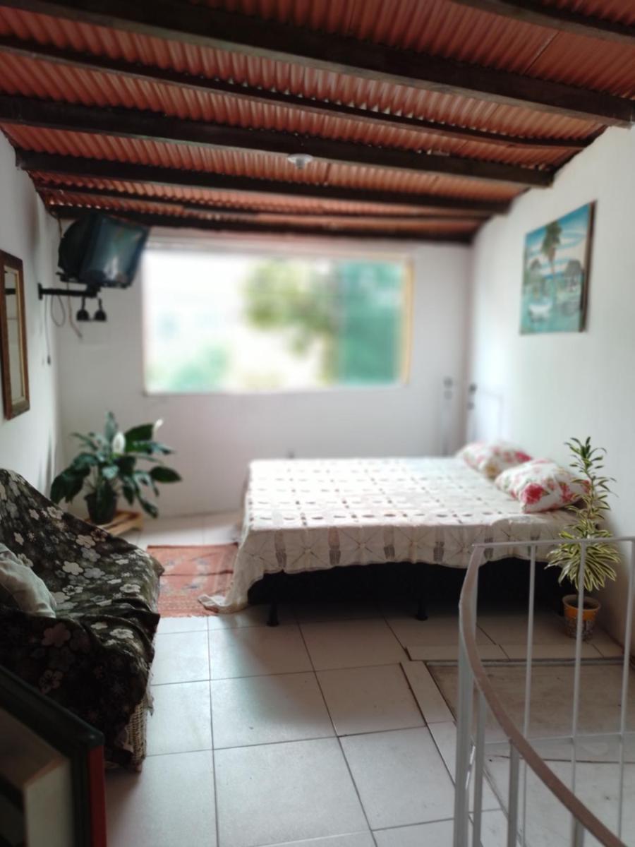 CACTUS KIT NET - Housity