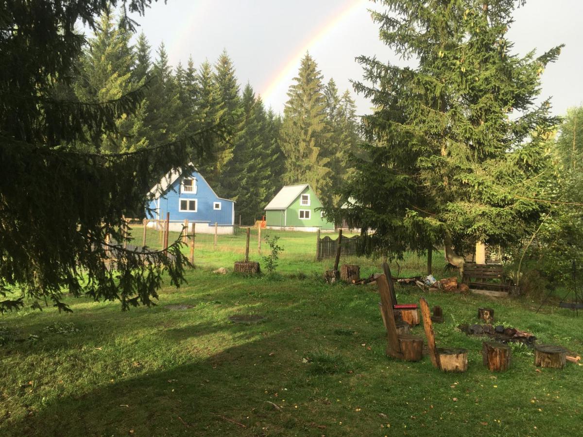 Nature Center Údolí volavek II - Housity