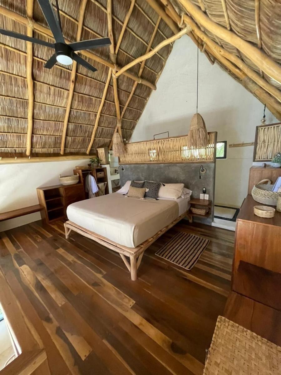 Casa Coyul - Housity