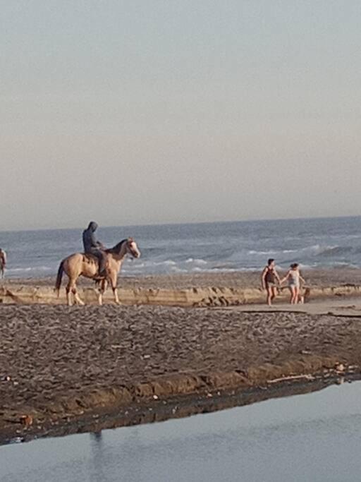 REALLY BEACH FRONT, 1 BEDR HOUSE, INTERNET, DOWNT. - Housity