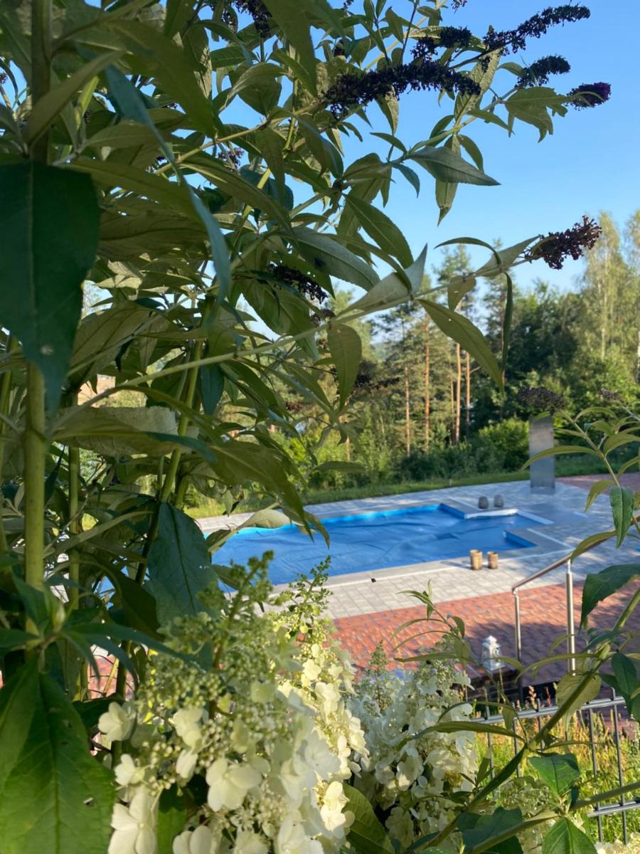 Lesny Apartament - Housity