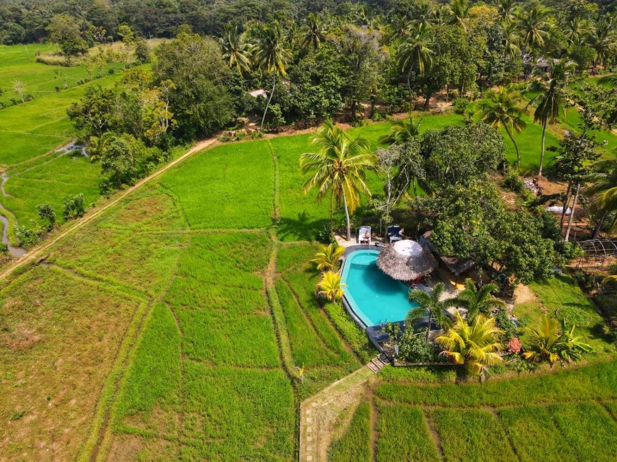 Nelu Villa Sigiriya - Housity