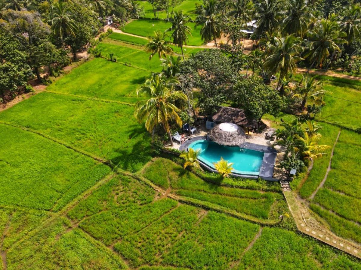 Nelu Villa Sigiriya - Housity