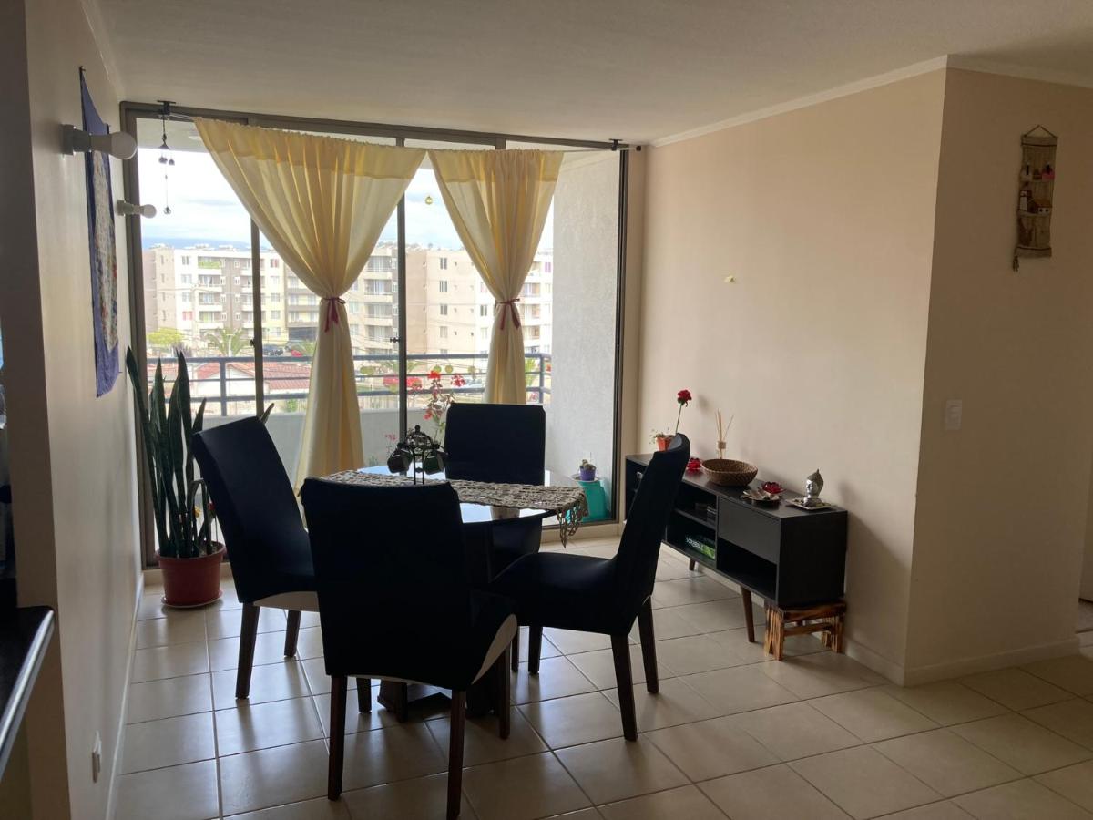 Departamento acogedor La Serena - Housity