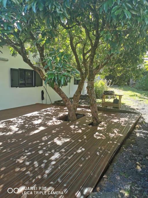 La Kaz'zazomani une jolie maison dans le sud sauvage - Housity