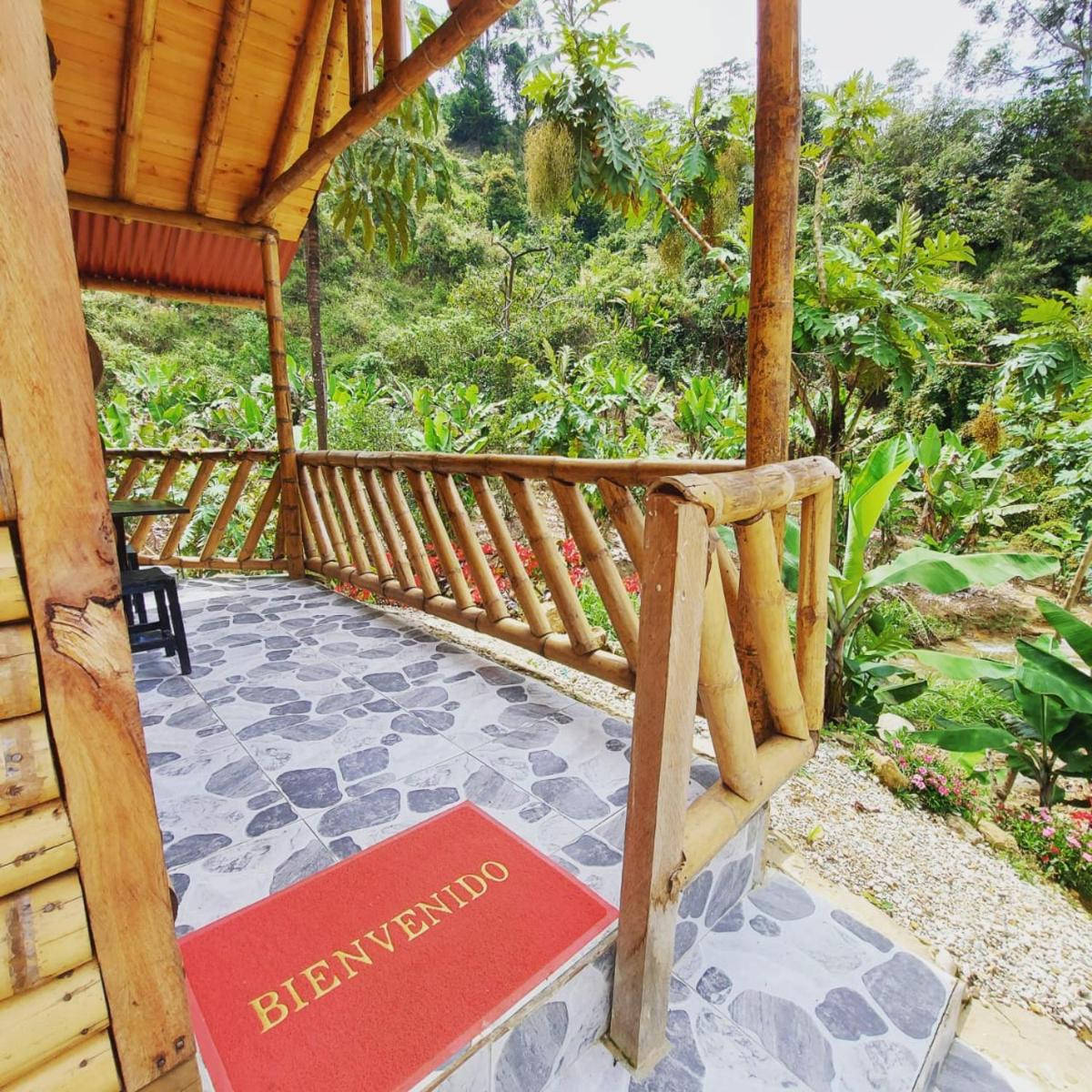 Experiencia café y bambu - Housity