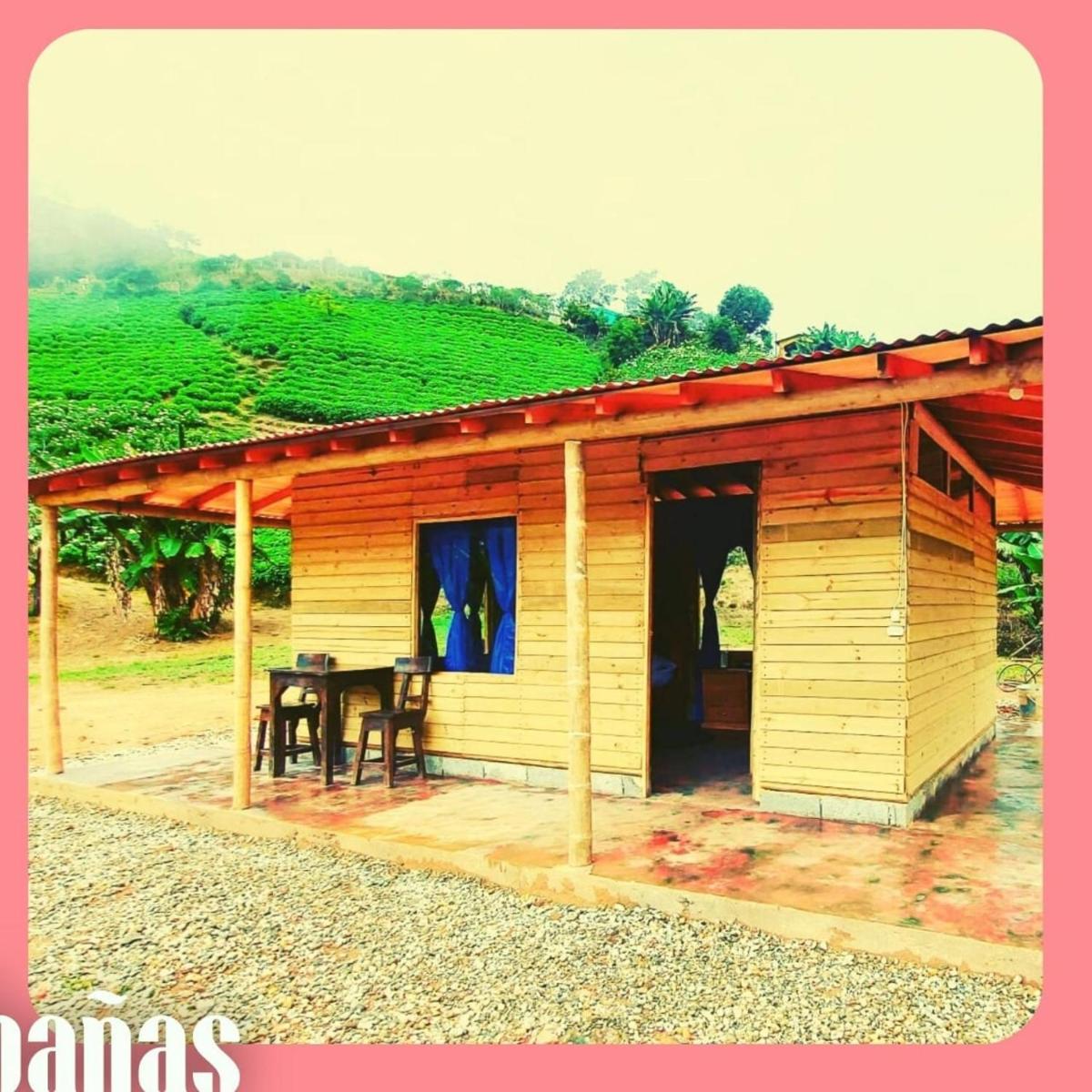 Experiencia café y bambu - Housity