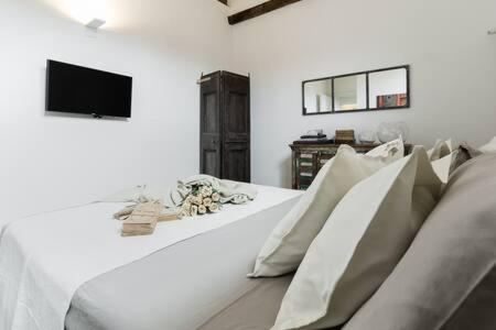 RED Appartamento immerso tra le mura bolognesi - Housity
