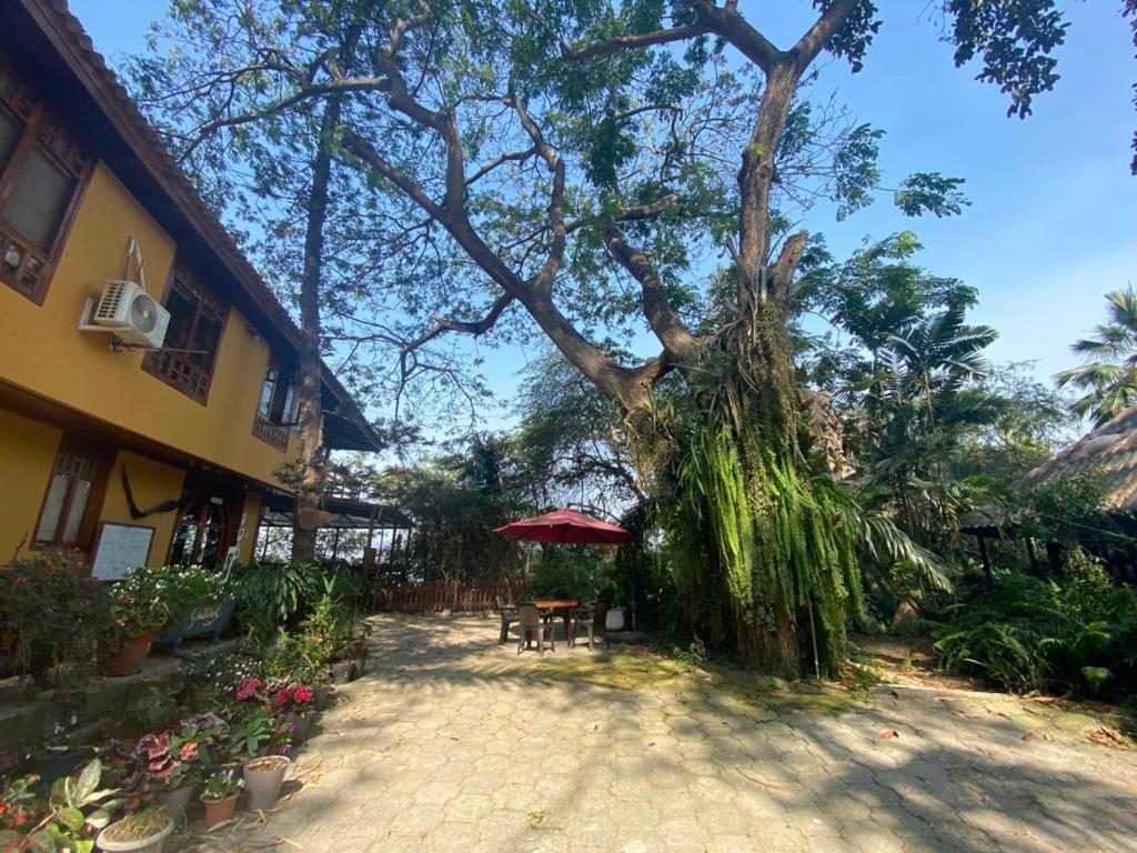 Saiananda Adventure Eco Lodge - Housity