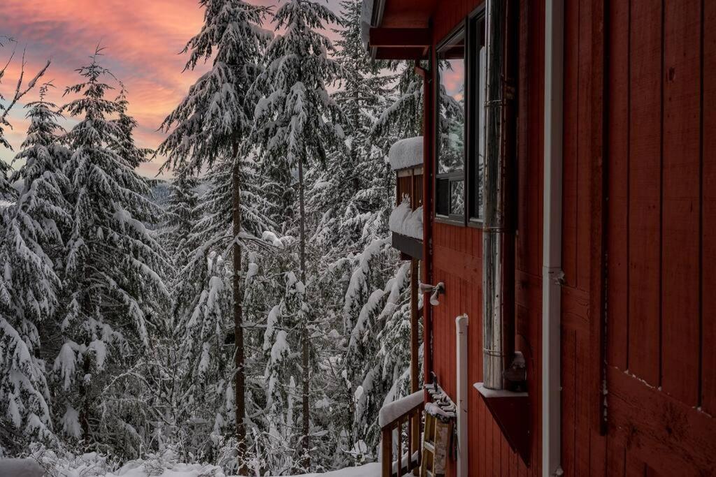 Lookout Mountain Lodge, a scenic treetop retreat - Housity