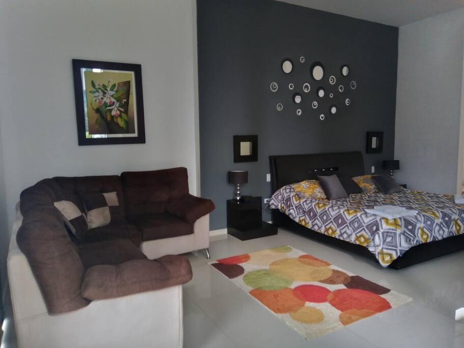 Suite Magna, alto standing - Housity
