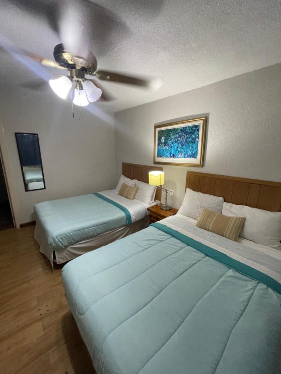 Campestre tampico - Housity