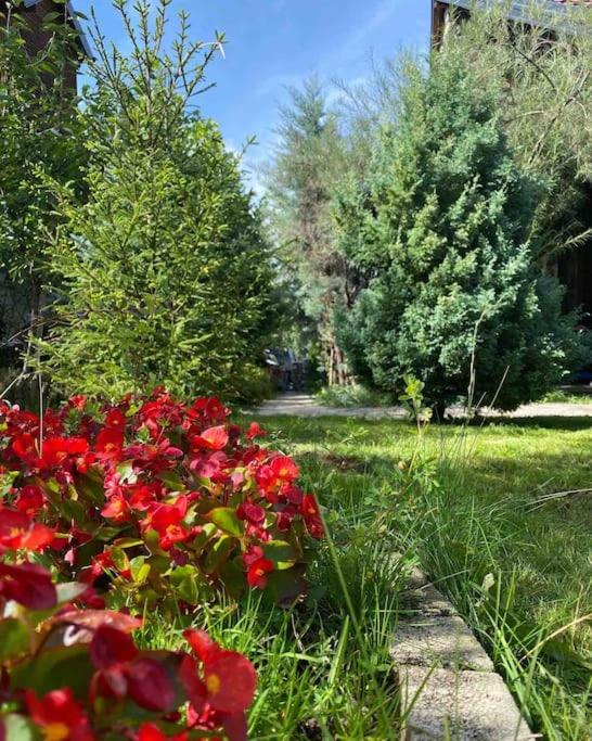 Green Villa Brezovica - Housity