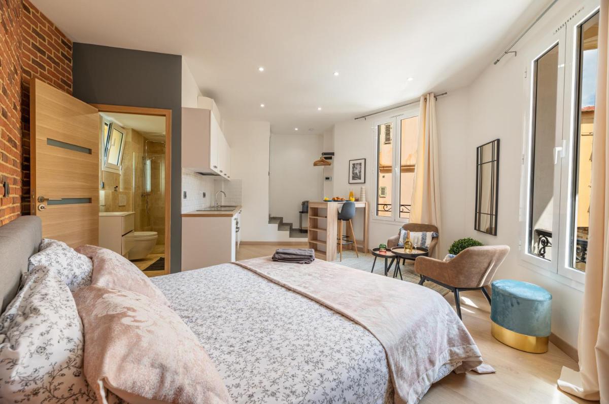 GRAND STUDIO CLIMATISE TRES PROCHE MONACO - Housity