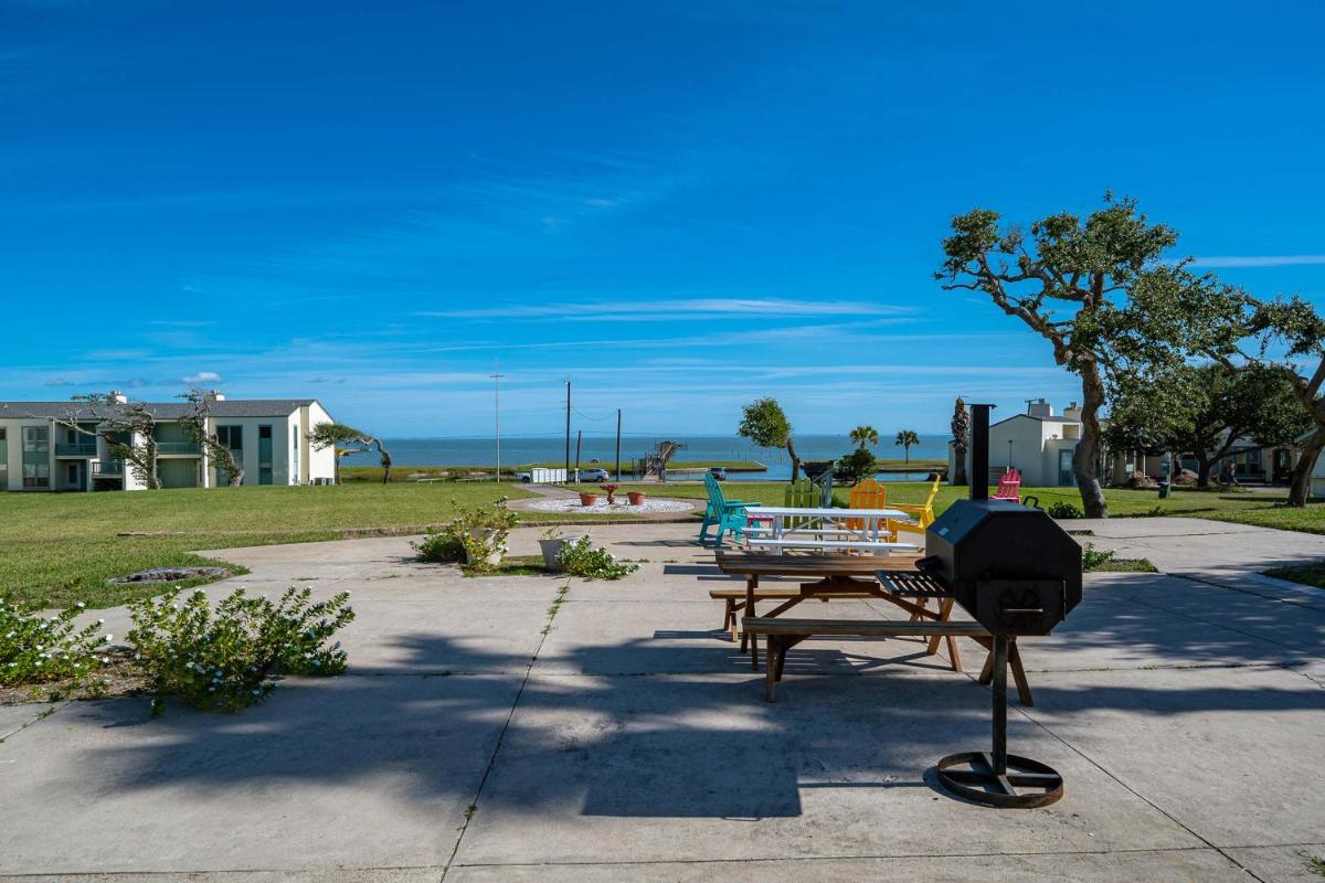 The Birds and The Beach - Housity