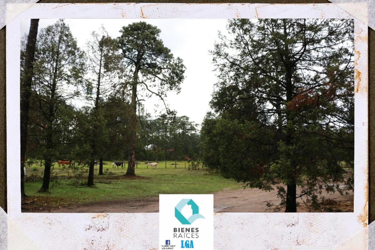 Hermosas Cabañas en Mexiquillo Durango Familiares Para 8 Personas. - Housity