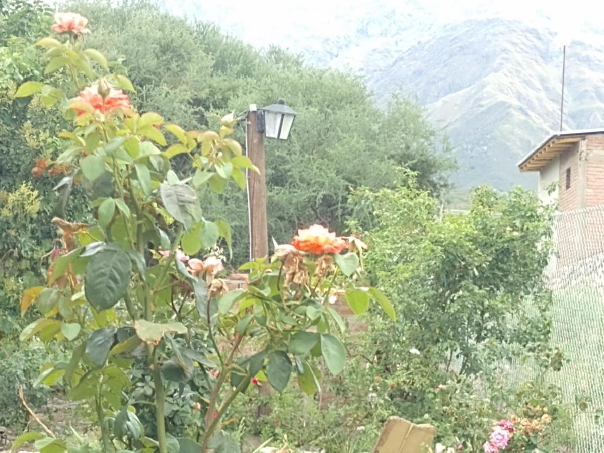 Mi Refugio - Housity