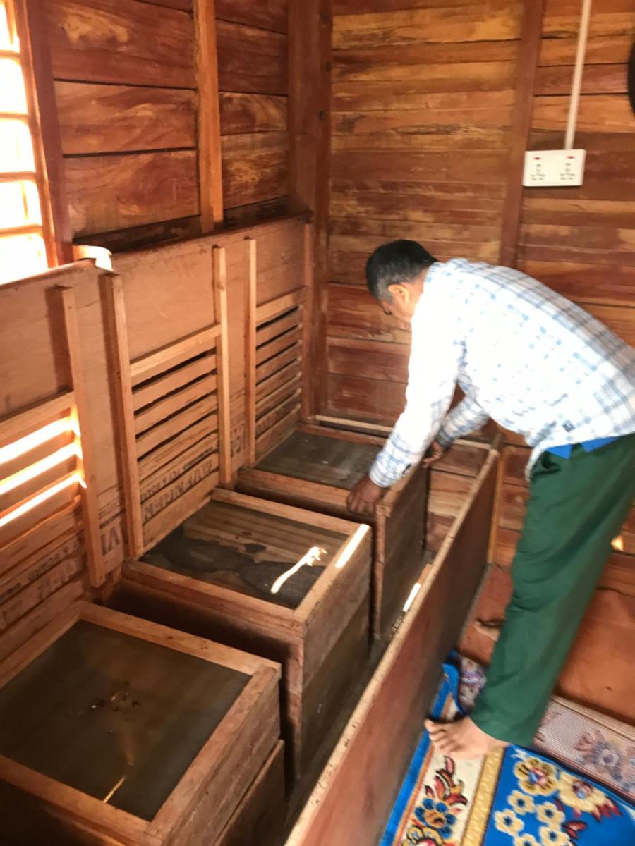 Organic Honey Bee Homestay - Housity