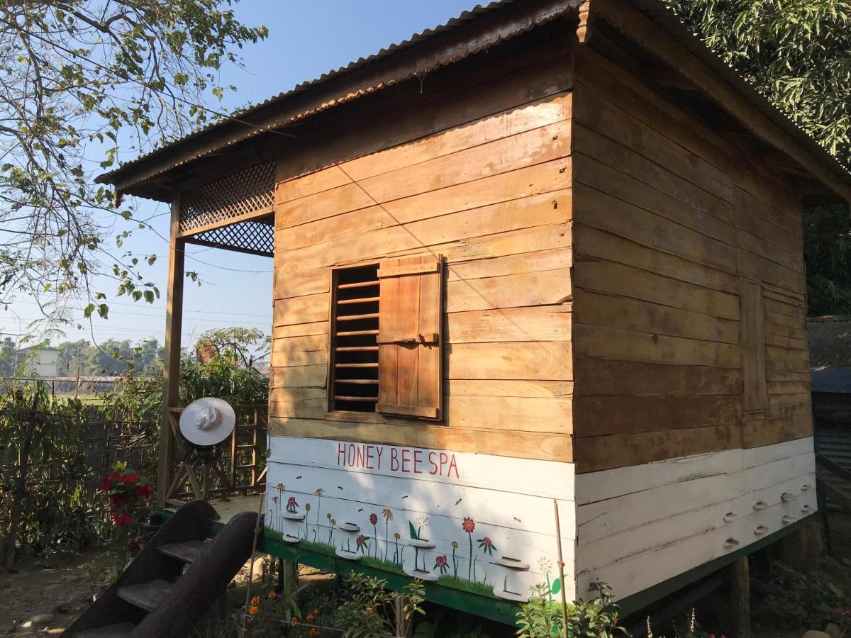 Organic Honey Bee Homestay - Housity