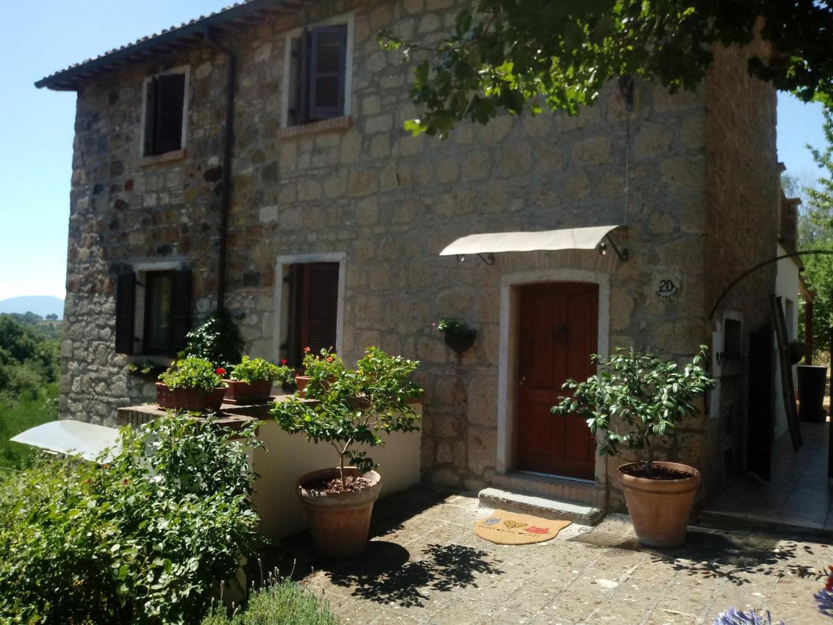 Stunning 1-Bed House in Castel Cellesi Italy - Housity