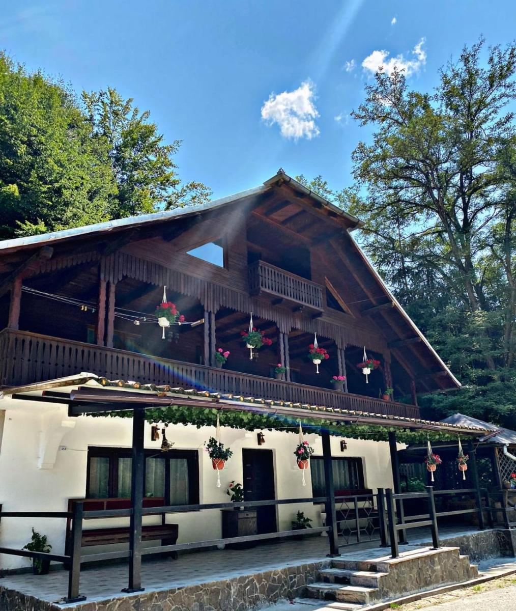 Cabana Brădetu-Montway - Housity