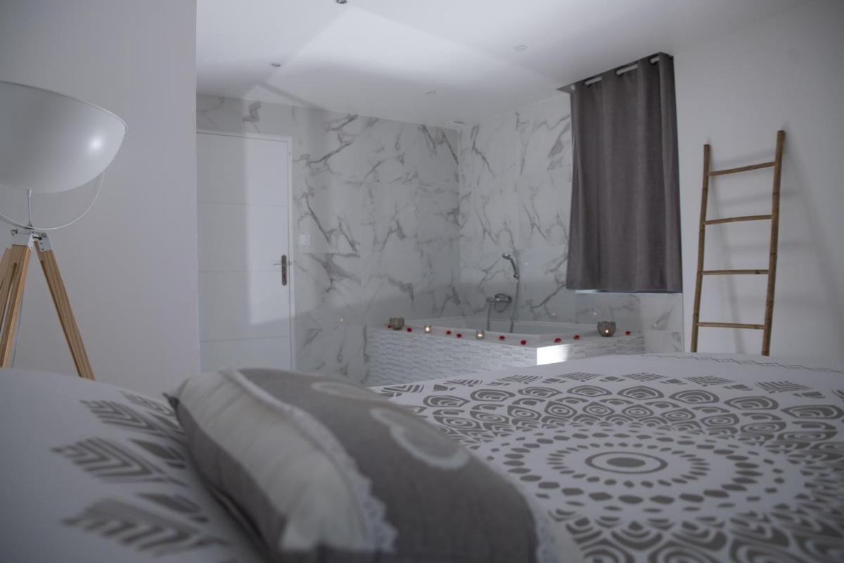 Triplex de luxe 110 m2 hyper centre jacuzzi - Housity