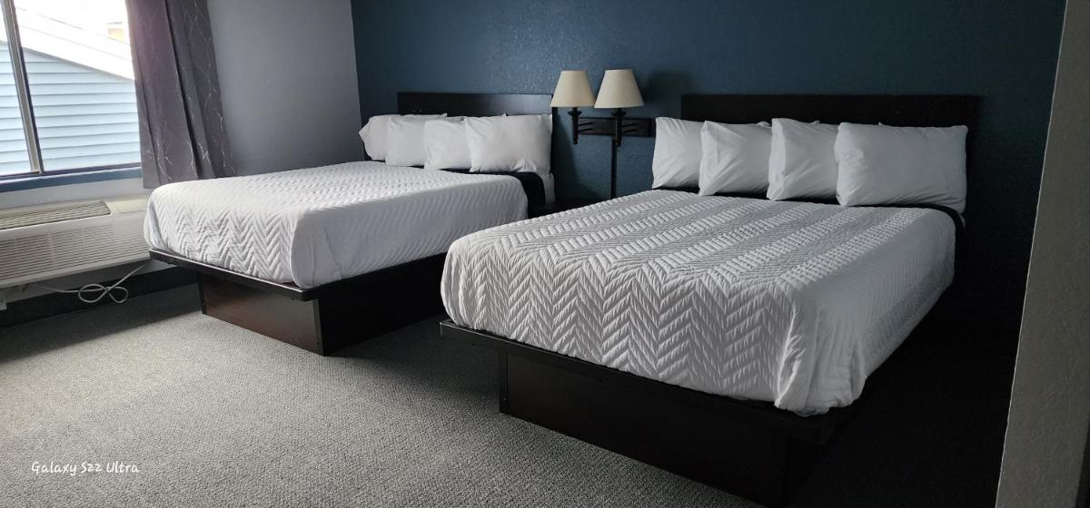 The Oasis Hotel & Bar - Housity