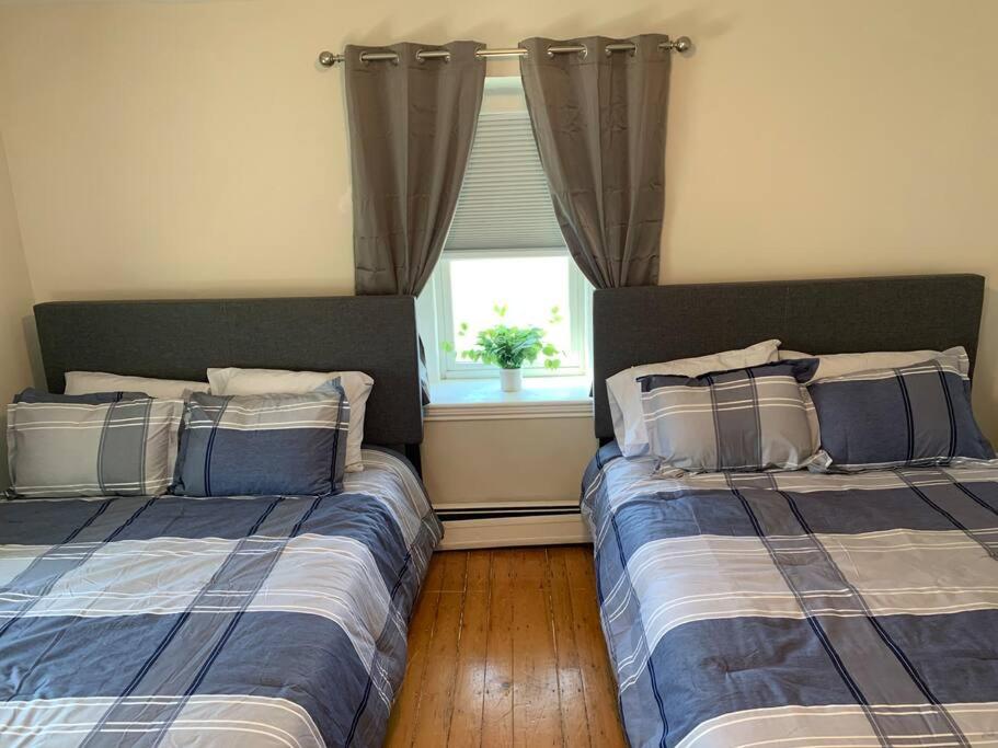 Suitetrails - Cozy Cambridge Apt