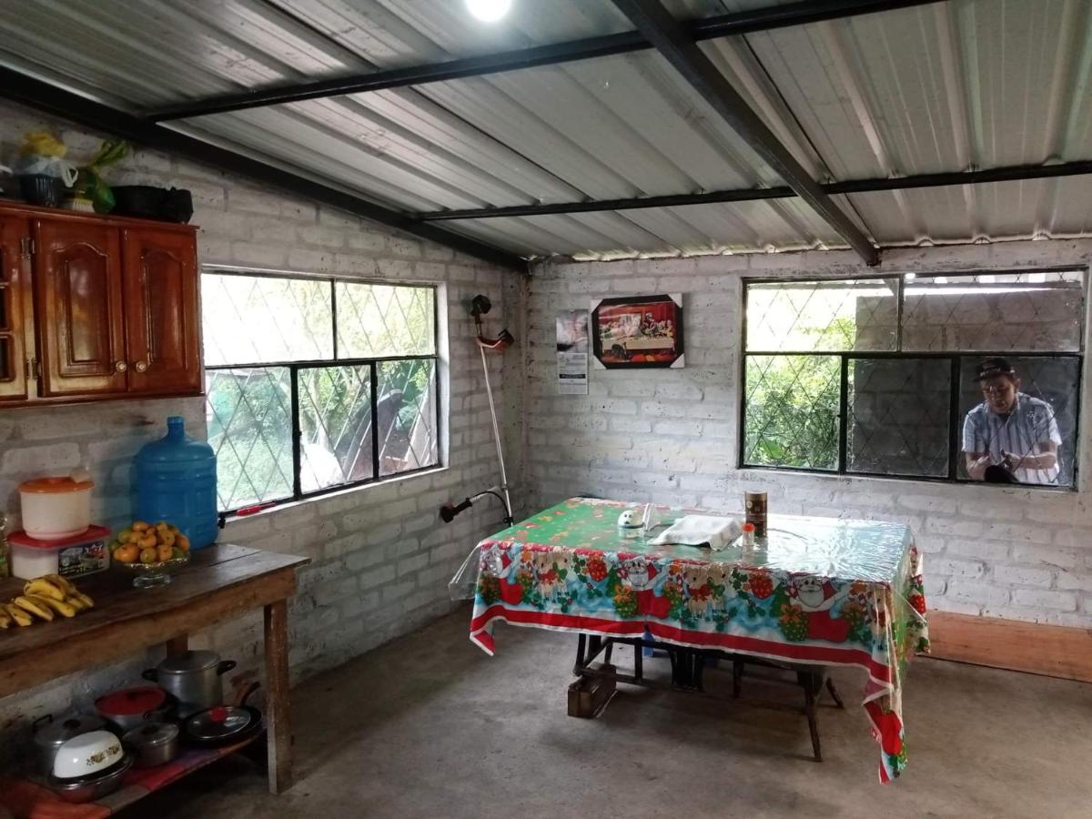 El peregrino - Housity