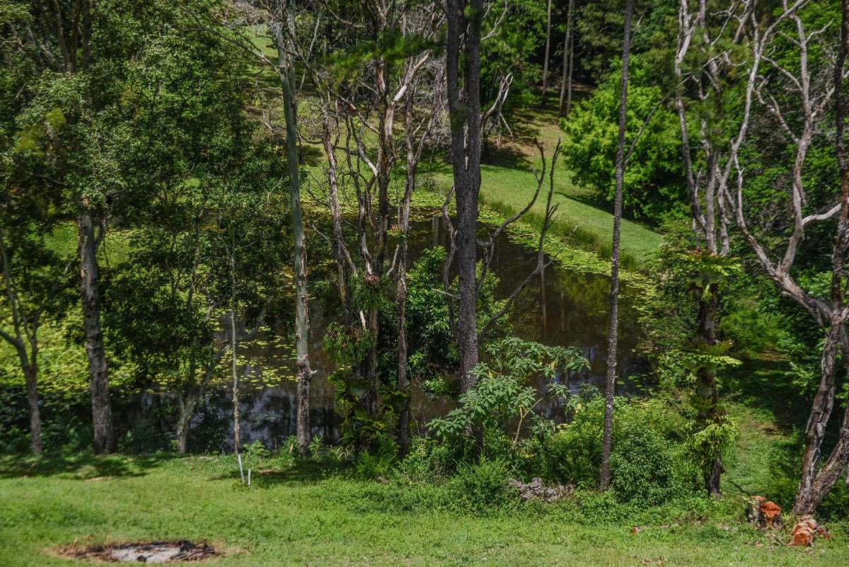Maleny Country House - Queenslander on Acreage - Housity