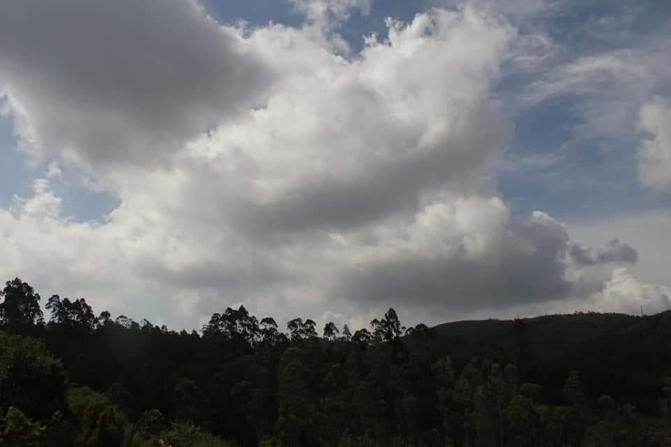 Jungle Retreat 5 bedroom apartment - Housity