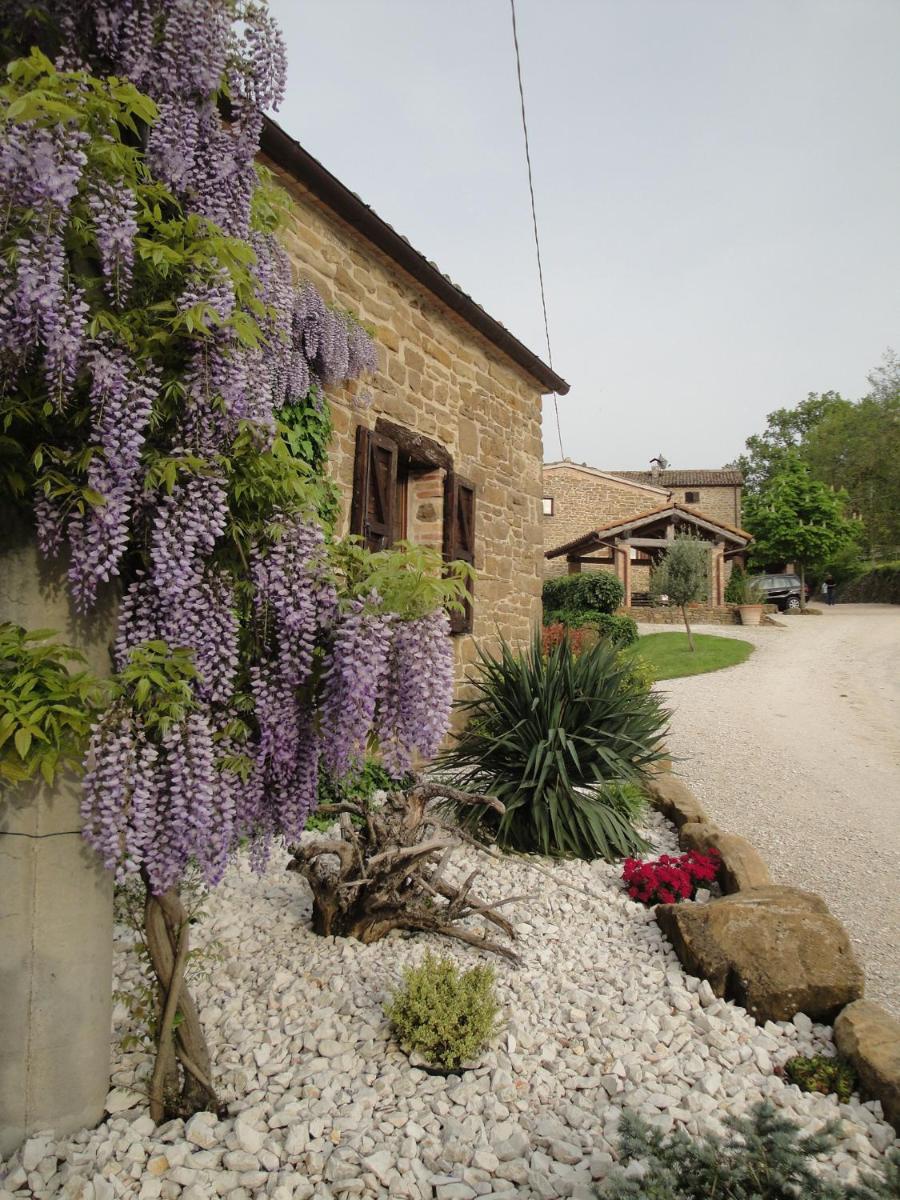Agriturismo Alla Vecchia Quercia - Housity