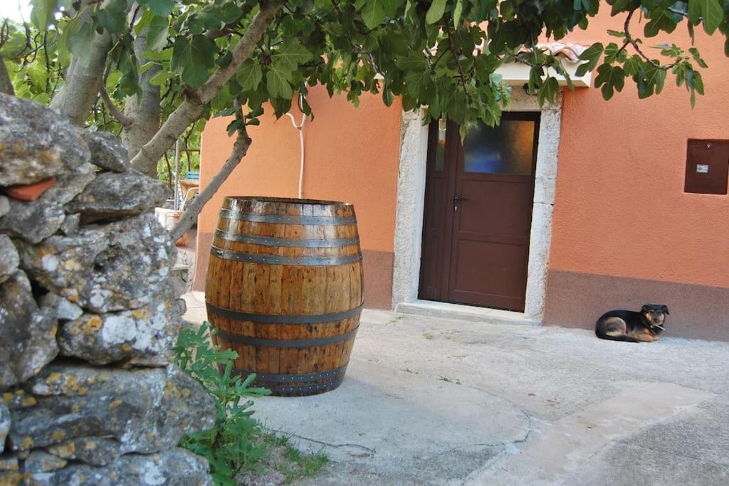 Village House - Housity