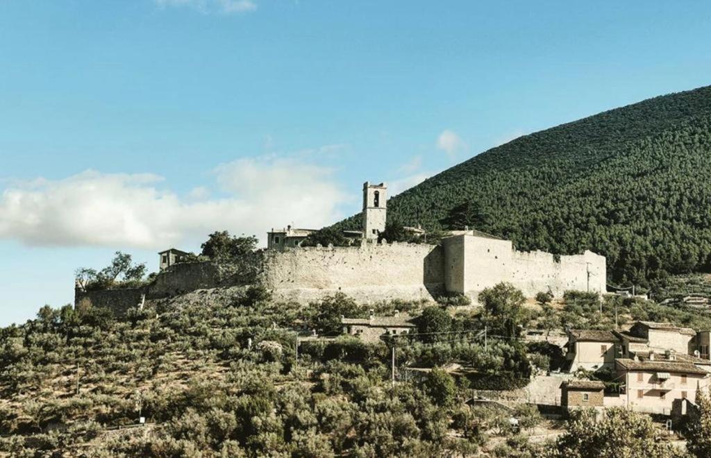 Borgo dei Conti Campello - Housity